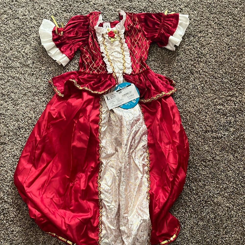 Winter princess dress up